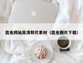 龙海昆虫网站高清照片素材（昆虫图片下载）