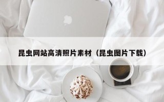 龙海昆虫网站高清照片素材（昆虫图片下载）